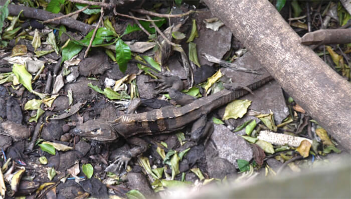 marena-visita-zoocriadero-